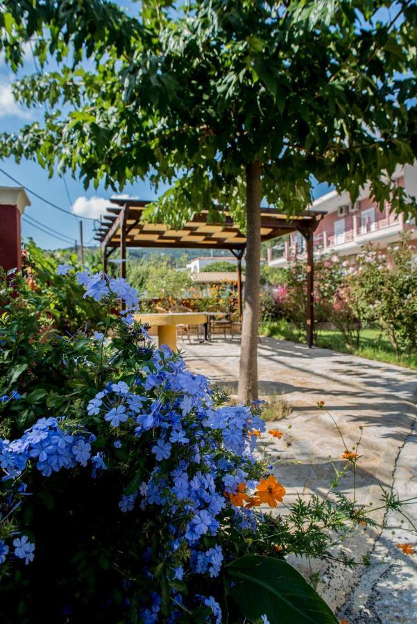 Dimas V House Aparthotel Parga Exteriör bild